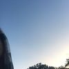 lukasc44